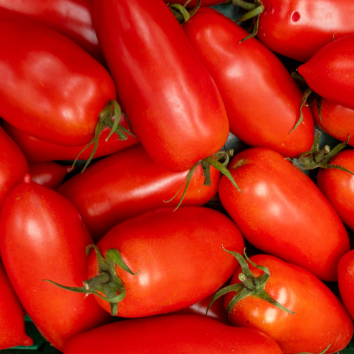 San Marzano tomato seeds package